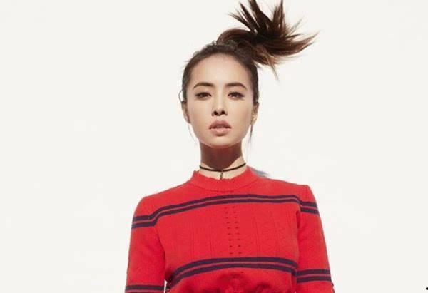 蔡依林家庭背景,音乐天后背后的家庭故事