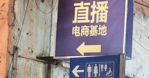 网红孵化基地要钱吗,揭秘费用构成与投资回报